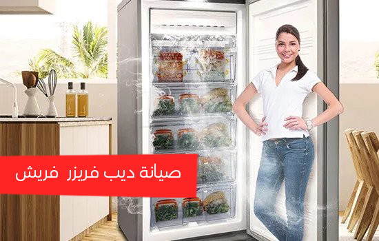صيانة ديب فريزر فريش